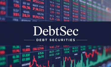 DebtSec.com - Creative brandable domain for sale